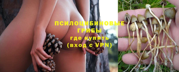 мдма Осинники