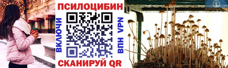 цены наркотик  Дербент  Псилоцибиновые грибы ЛСД 